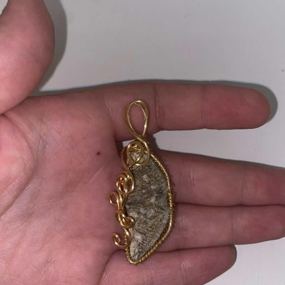 Clam fossil Pendant